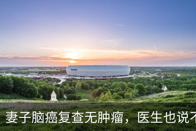 妻子脑癌复查无肿瘤，医生也说不清，他当场落泪