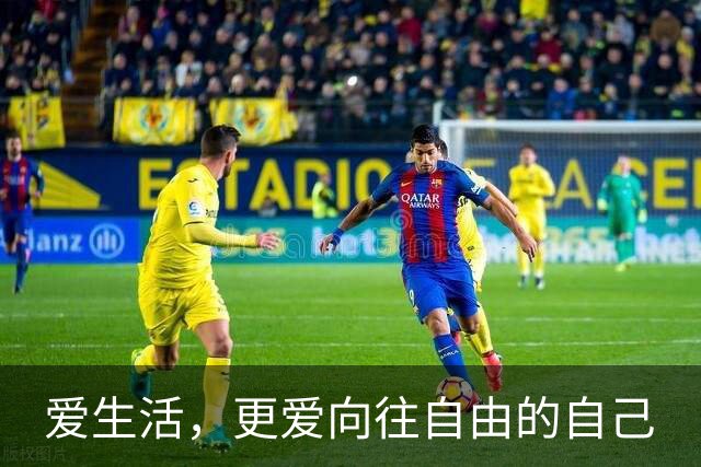 爱生活，更爱向往自由的自己